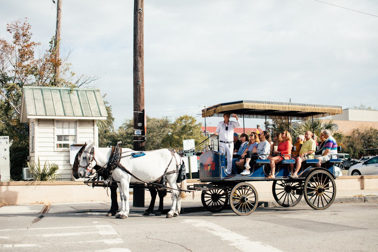 Tourists enjoy a scenic horse-drawn carriage ride through the city, guided by an experienced tour guide.